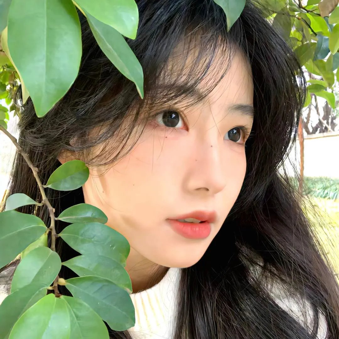 狗日子